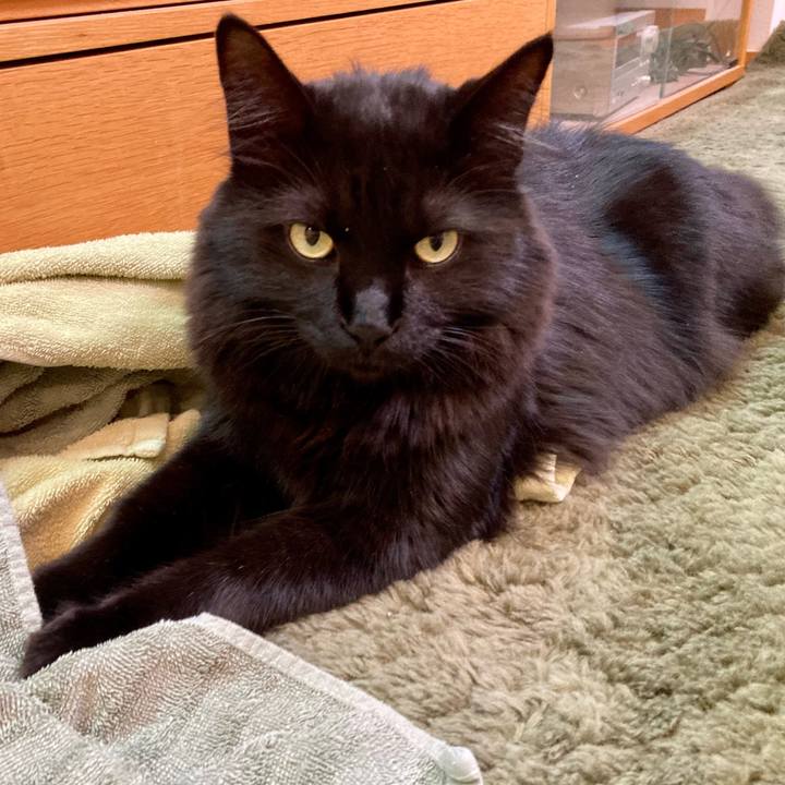 3355fd66 6044 4adf a8c3 f9f65d0a0c7d 1756993338536