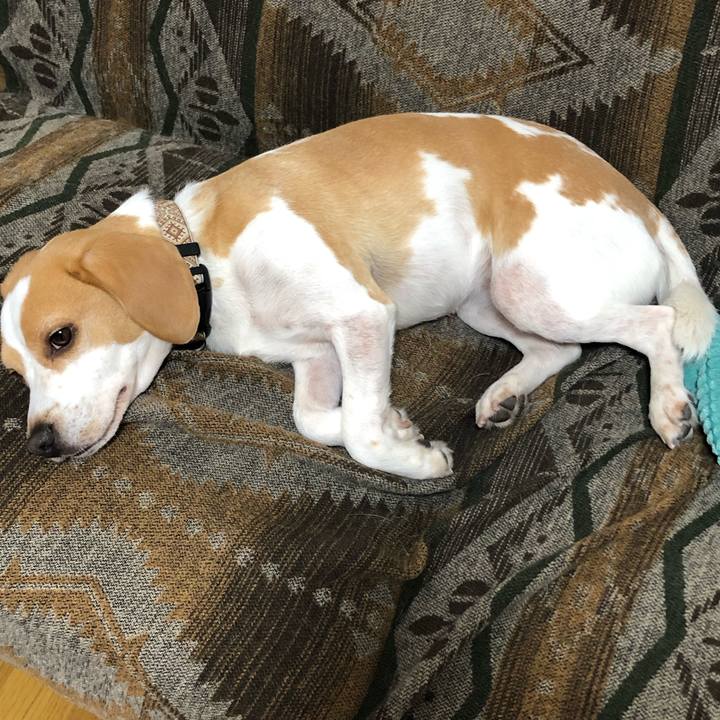 33562f9c ce7b 4673 acd1 5f6470e539d2 1637029023368