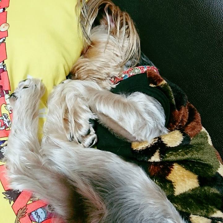 33568ba0 f791 4b78 92ef 67031b9b269e 1509884779071