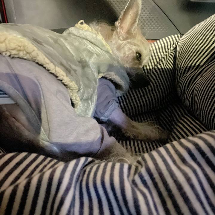 33569ddd 37ca 499e b514 ffe63a92e895 1773235261433