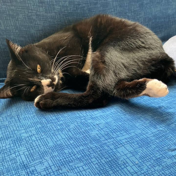 3356ed7f 23e4 4ece a024 88405cc5f192 1704710449757