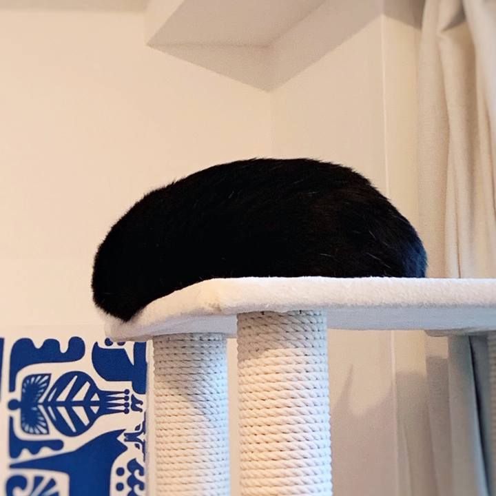 3357728d 495f 442f 868d 781ef9c24df0 1560172916827