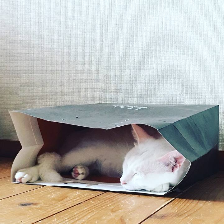 3357ae85 36a0 43f6 b7ab 991743675b4e 1532927185646