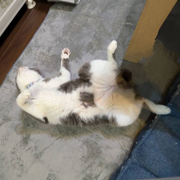 3357cce7 1c5d 49dd a616 7ec806780c14 1726485500317