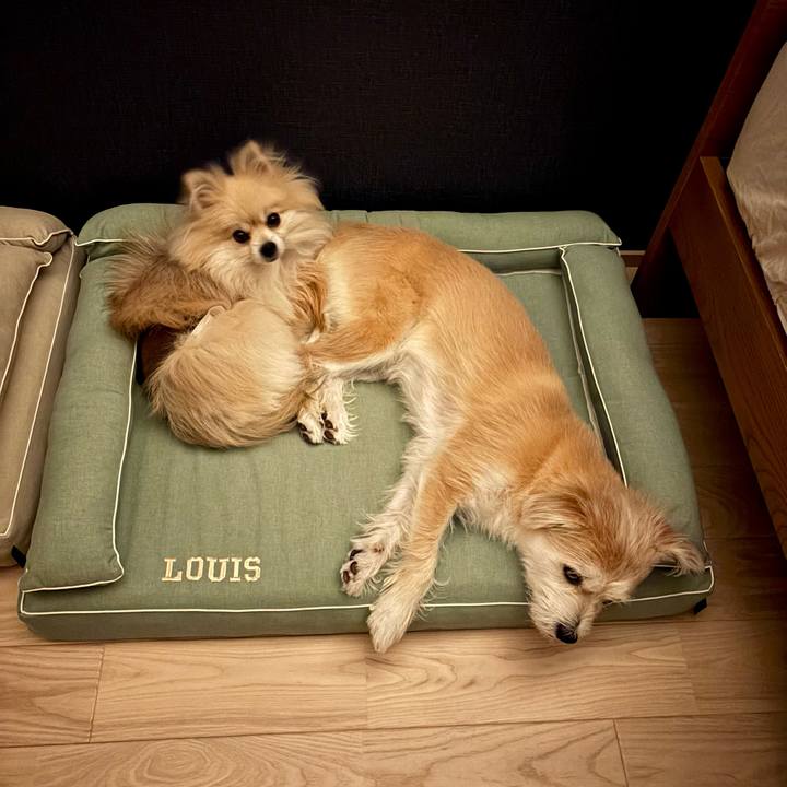 3357d8e4 754c 481a be78 188994f5d458 1760049018195