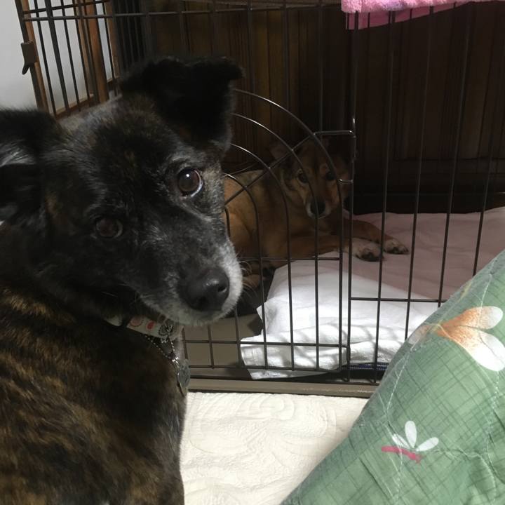 33580c94 5bd1 40e0 8206 e78d6dd2d471 1553774833969