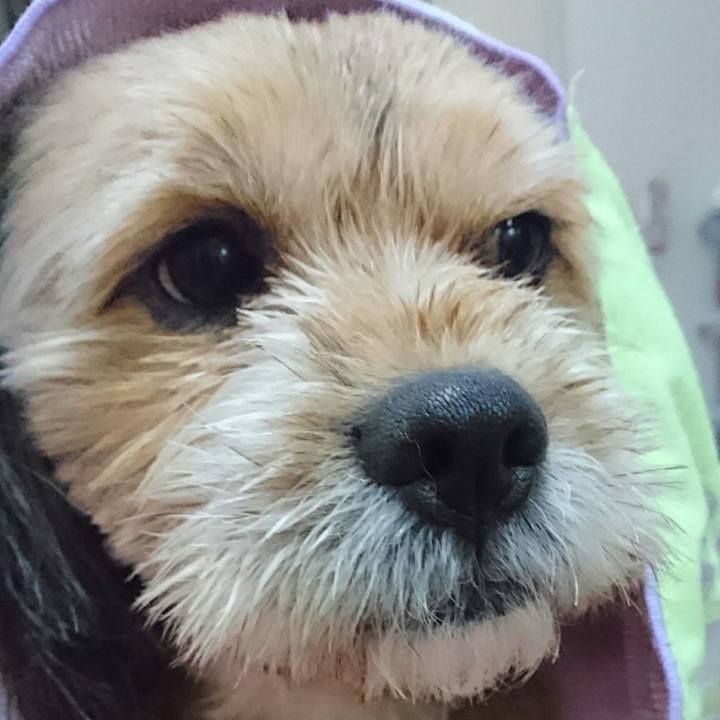 33582125 e8b3 48ec 90cc 8f529a5fd178 1511167361517