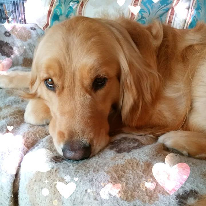 3358853d c385 4309 8447 ae8f364efd6e 1584187981029