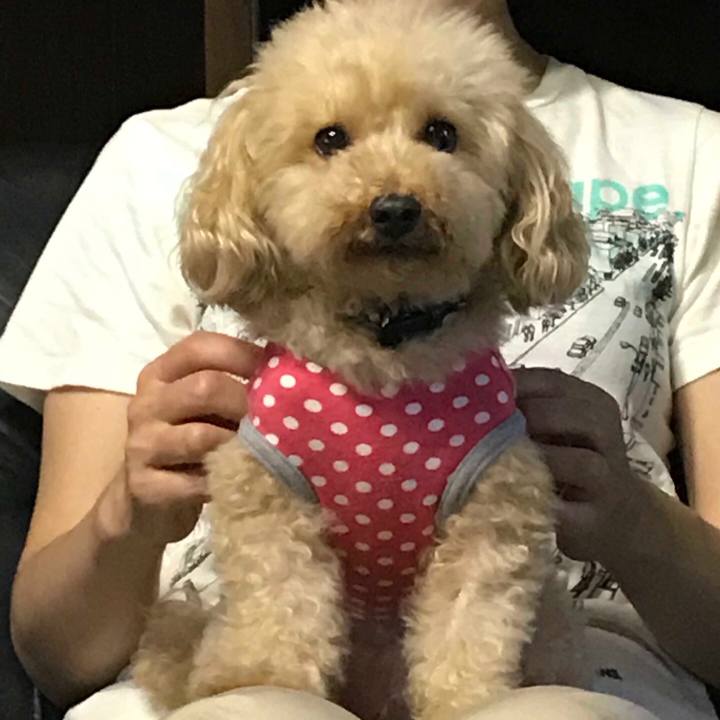 3358890f ef9f 4ba5 8570 e194d671568c 1507867825637