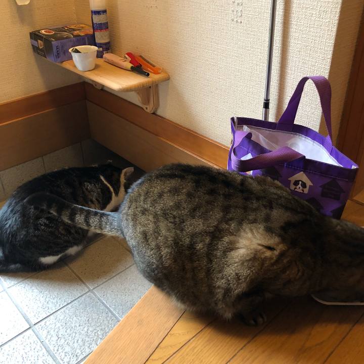 33588c7c 5008 43e4 bdb0 3f448a4a954b 1514708113388