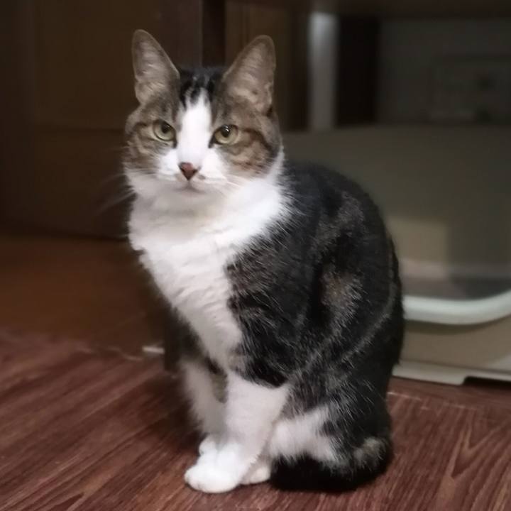 33588dda e769 4701 8f37 4481292fb8be 1555581642441