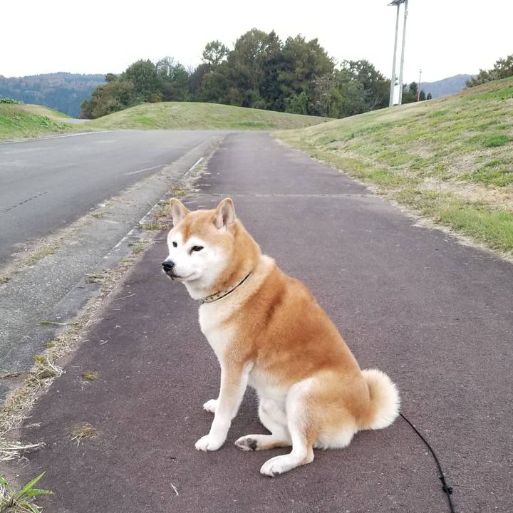 3358b2cd 50bc 4738 9db0 af1bbd1eb594 1636011119587