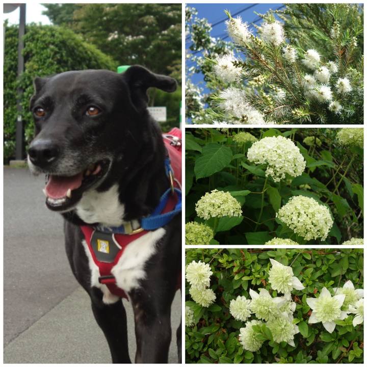 3358c005 46be 4934 b656 246dc1cb502a 1684978046935