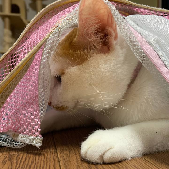 3358ec32 e564 4f55 b425 feaa32e901fd 1568818574185