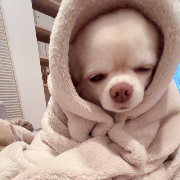 33591d77 9793 41ef 87a6 b6569109434c 1734857081143