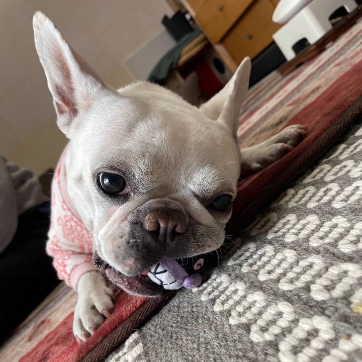 335922ae 0e99 49a9 a33d 7f2803ac09a8 1737982109954