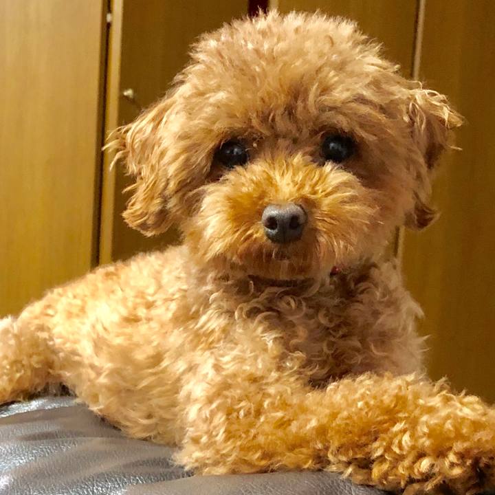 33594c34 5f3d 4195 b53f 8ab9a885afdd 1565486419312