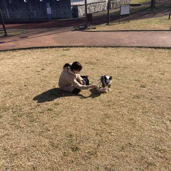 33595913 fb4c 4968 9bcb b01b398db41f 1639298158154