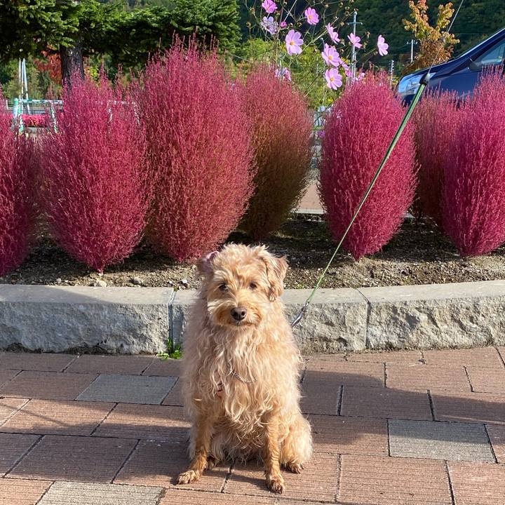 33595bae a83f 4af3 b275 b6e18760ffbe 1633919286702