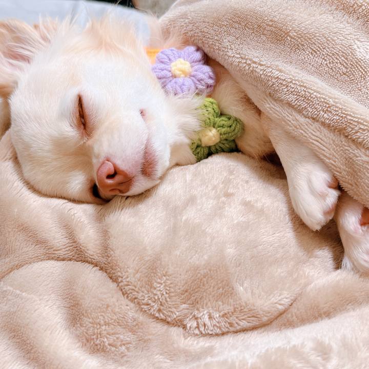 3359cbb4 07f0 4404 8ede 3aeabbccf447 1661477352114