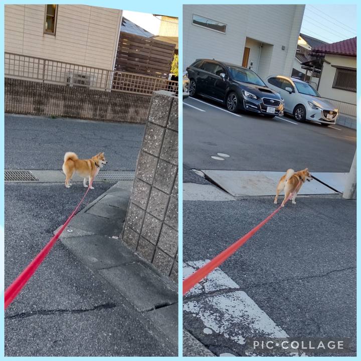 3359db0d d467 441d 99b0 b96daf1e4f72 1756703196200