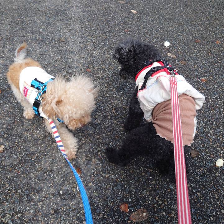 3359e0f1 84c6 4e49 89db 1cda7139cc10 1774947270786