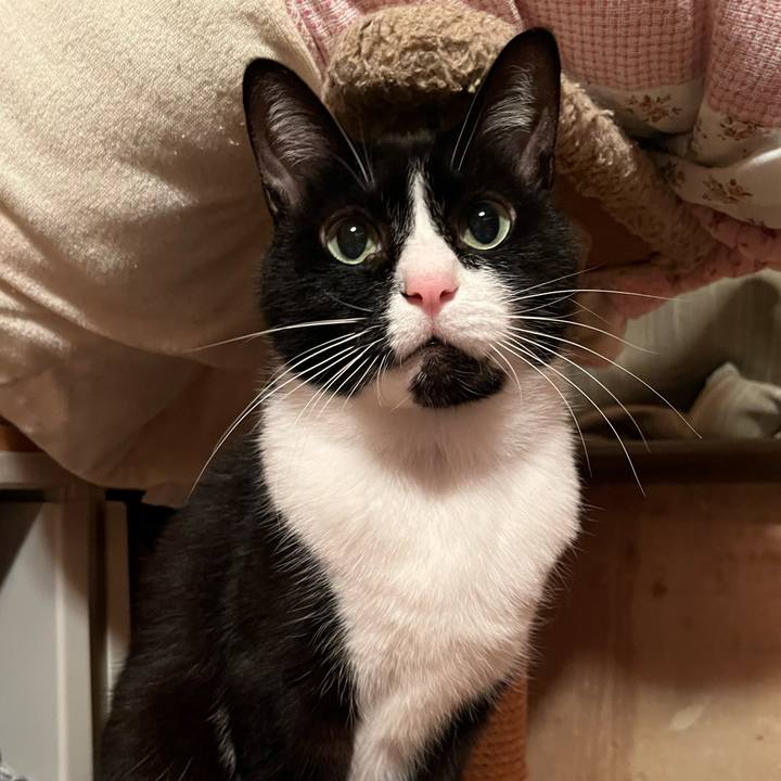 3359f1bf 47e1 4626 a288 0db3a0d5fc5a 1762585412805