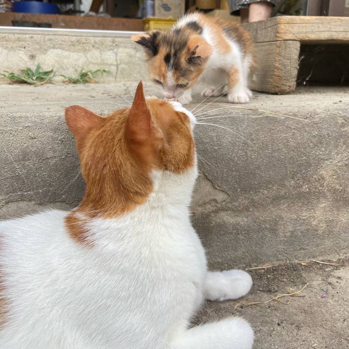 3359fc58 7d5a 4421 ab8e 6b52e104d48b 1628502818228