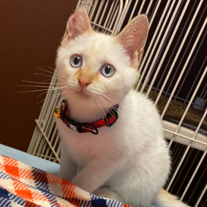 335a1001 bec0 4003 bdec 500c420c347b 1574557462575