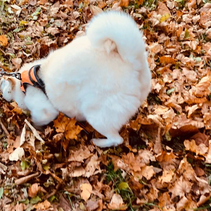 335a43c9 9ce0 47ac b14b c386b2c52574 1668032808698