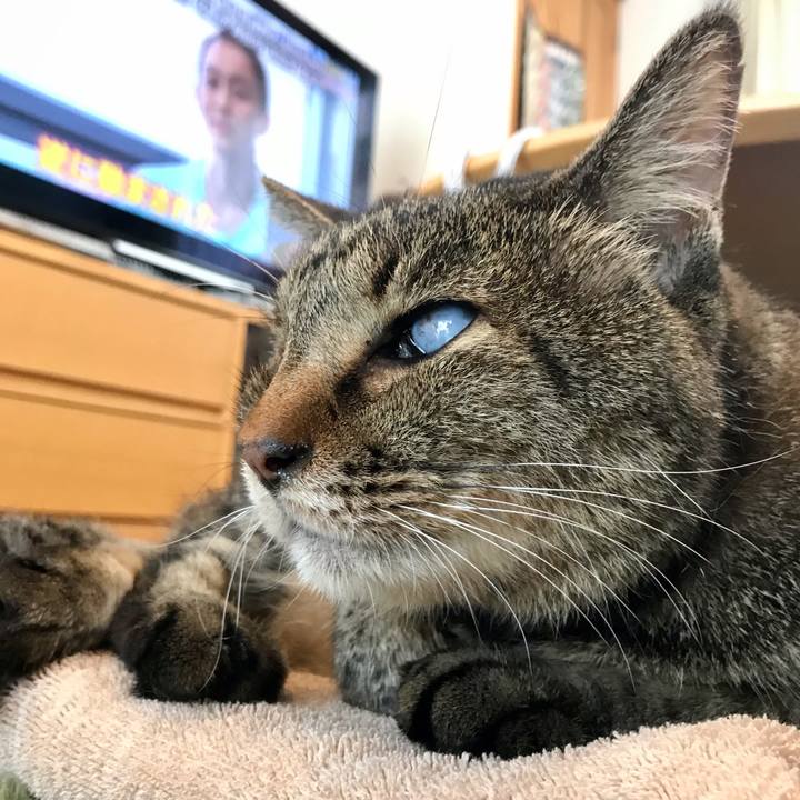 335a66ba d145 4509 bbe1 1b16e6ad108c 1629601118639