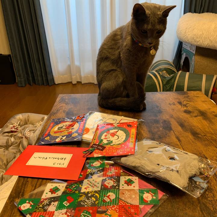 335a8c47 da98 4632 a1ff e57ad84dc045 1671441286584