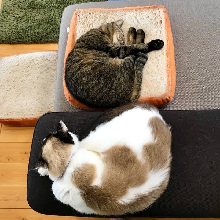 335a8e30 5586 4e76 900f 4a1043f6b341 1556769698328