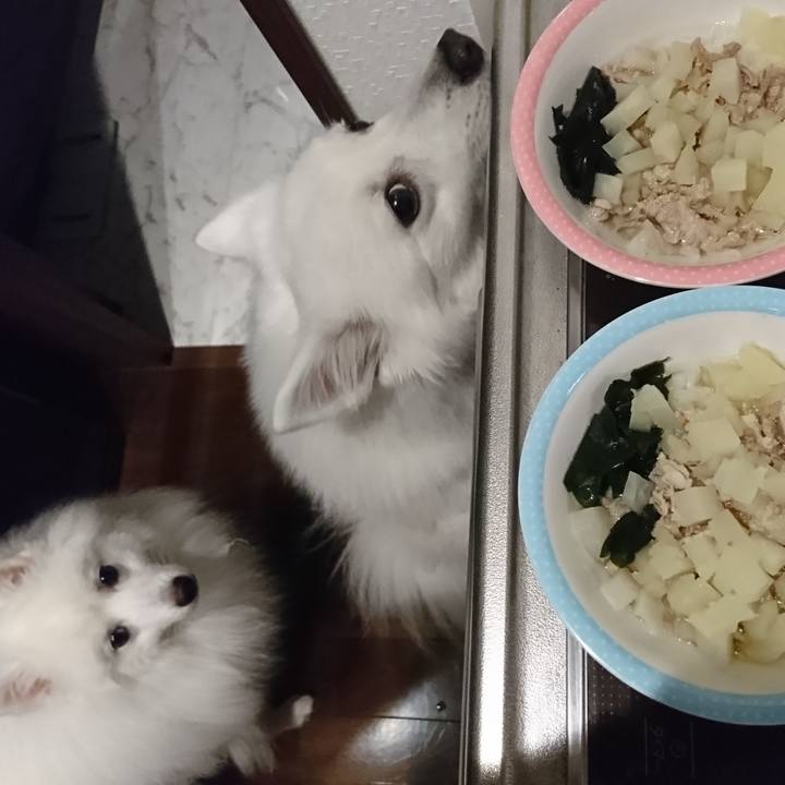 335aa91e d63c 4916 89fd 707006d335b9 1573295907164