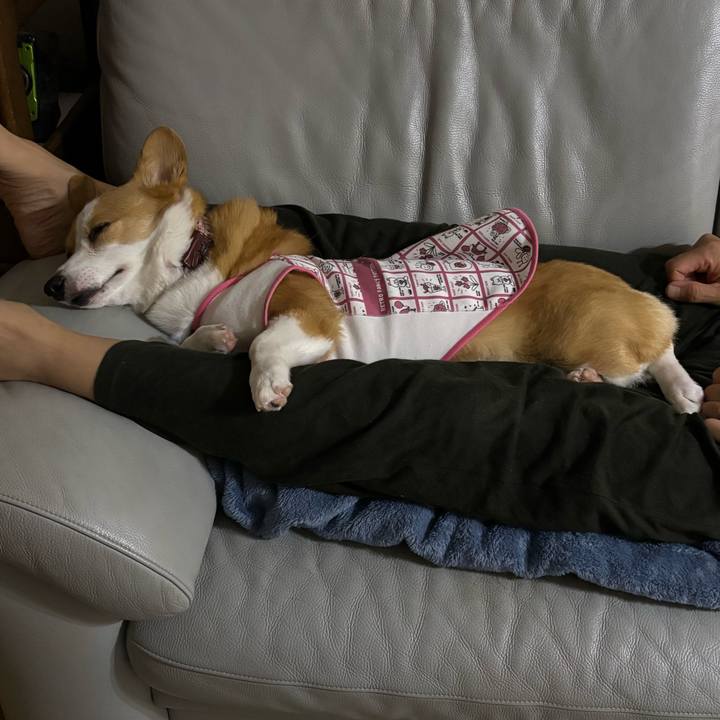 335ad6a4 01d9 452d 8918 9583ede683e9 1762173099868