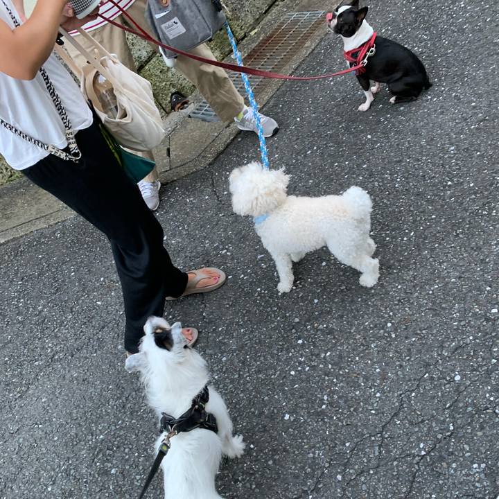 335adf72 4893 4809 b026 85245661ae8e 1725701187007