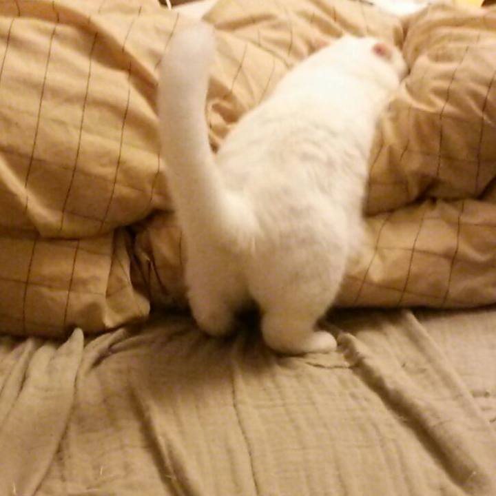 335aebed cb70 4f83 9ce8 39907be8d860 1508792768061