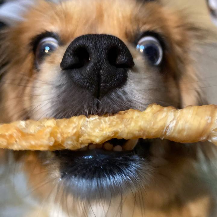 335af0ee 5c95 4779 ac31 90fce25d985a 1576793050163