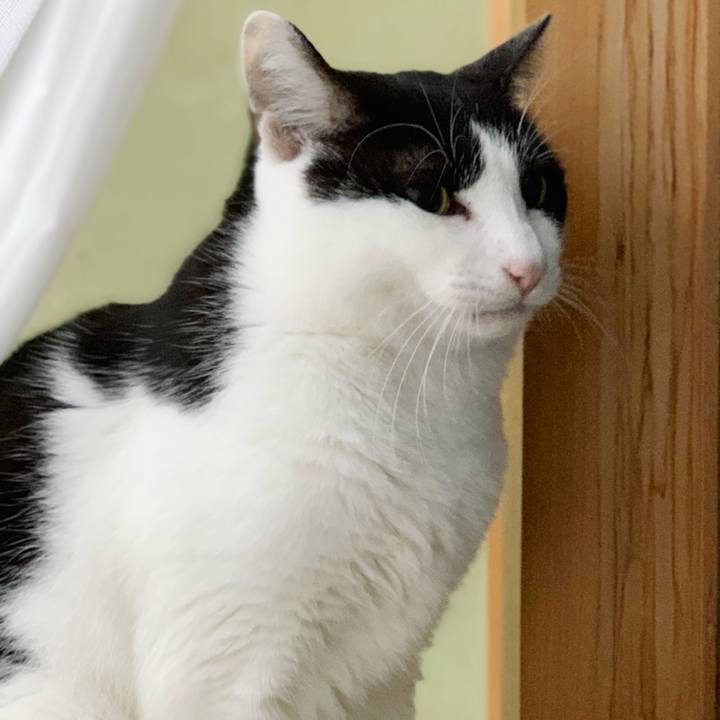 335b38f5 af62 4919 b7f7 5e81934c4556 1546647832800