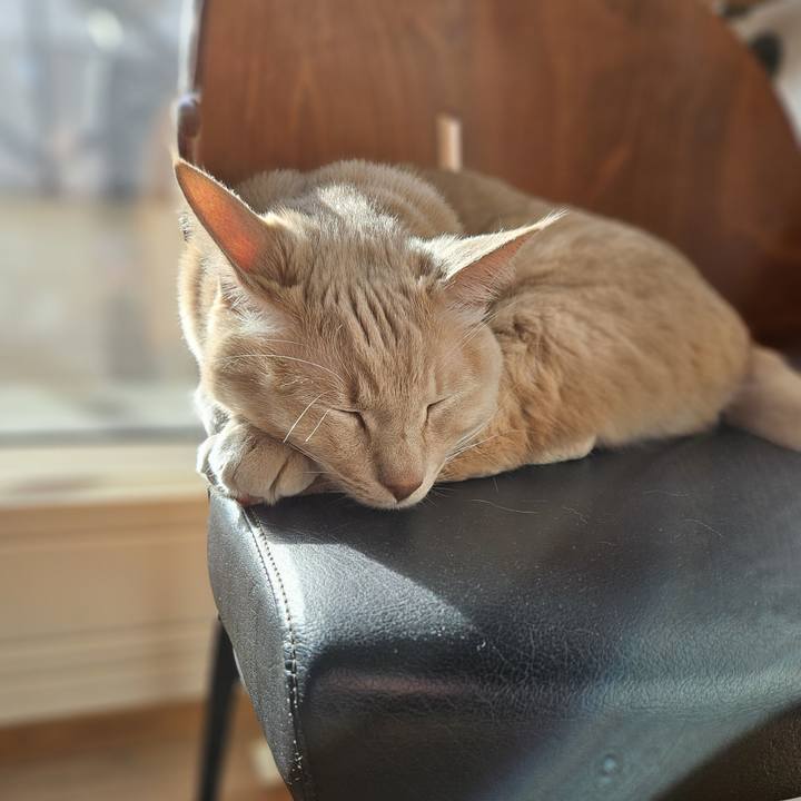 335b62c7 f30f 4ea3 93ee 7af5e33e644e 1737781330180