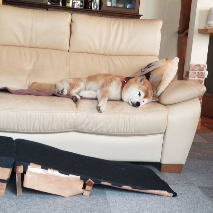 335b6c20 4621 46e8 858b e4c02b5fbc82 1751070291162