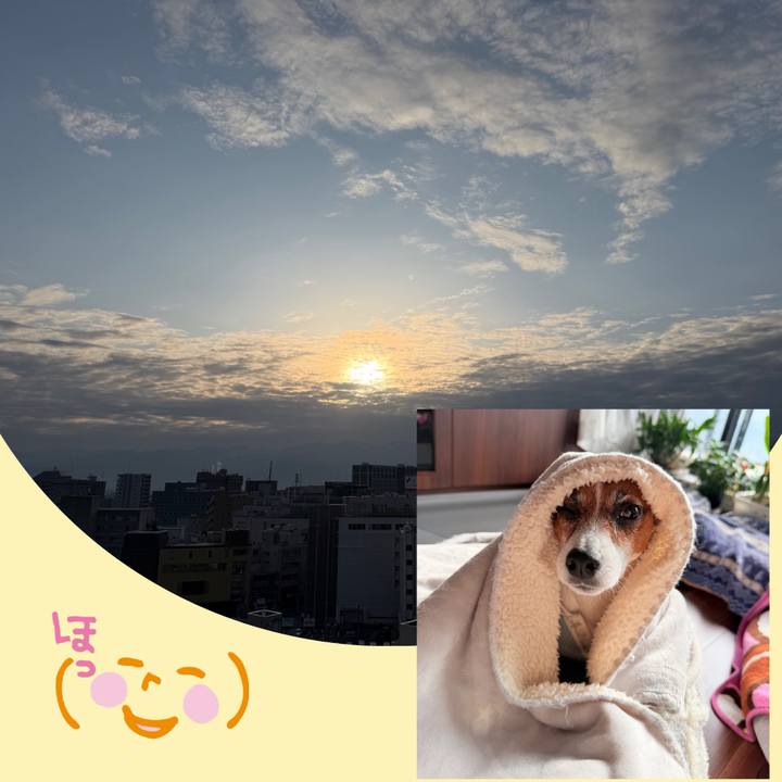 335b72d2 9d94 4548 8044 c45d2a37bebf 1774219648368