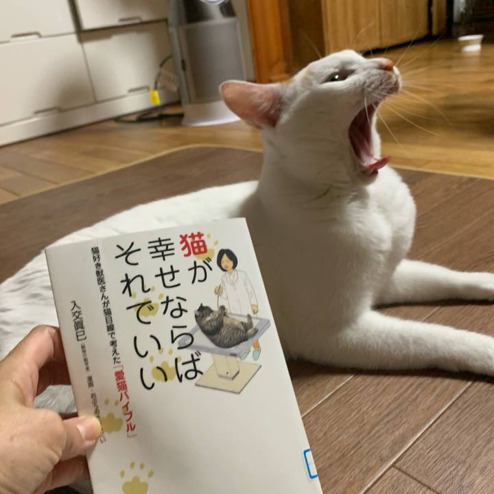 335bbecc 3166 4f13 b0e2 1adaf0b6ffef 1622378795326