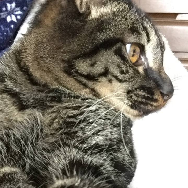 335bbf7f fc90 47f8 8225 e5f4bc98ffb7 1581155056319