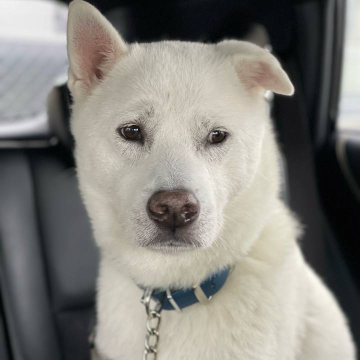 335bd04b 1604 4764 8dc1 d243d6cbb3c0 1737166421836