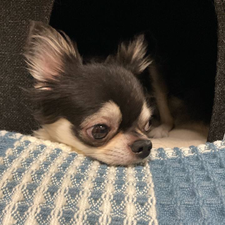 335c18a4 3155 4774 a678 fd116ee1a265 1661611369629