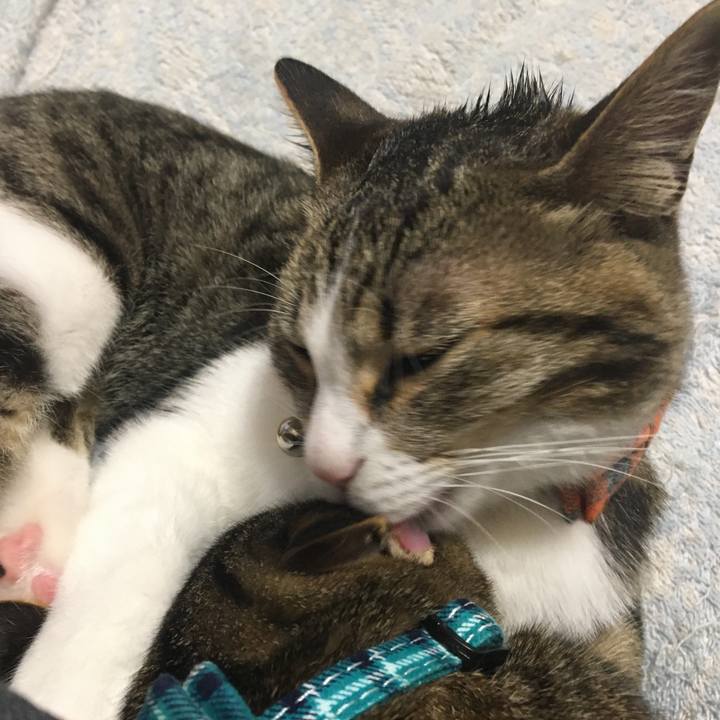 335c3387 0a26 44c4 95ed c254dcf87a1e 1670328795125