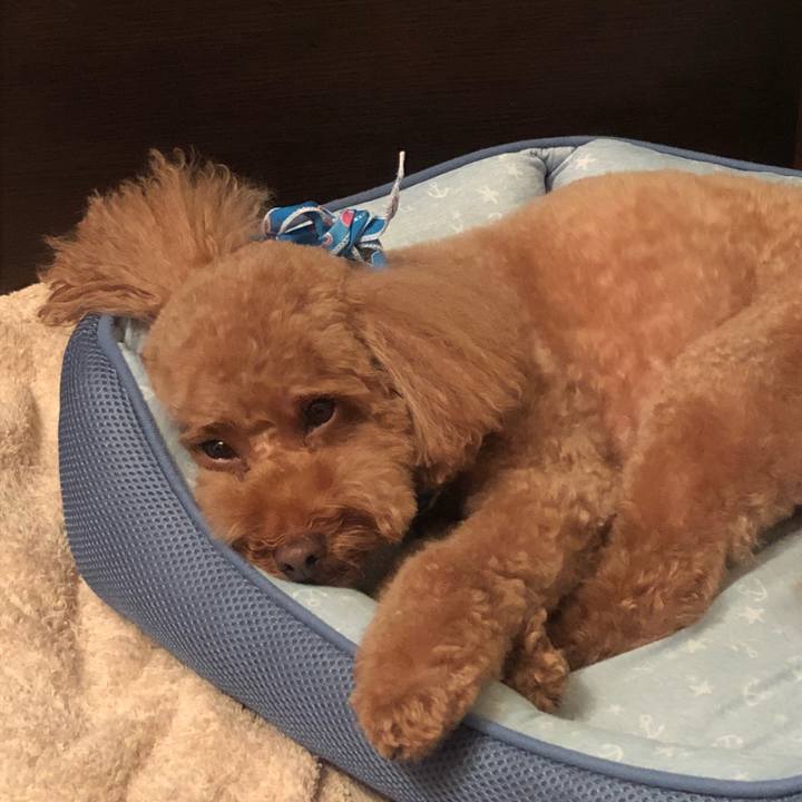 335c3abd 3799 47b1 b98a 2f231bb68acd 1508071016190