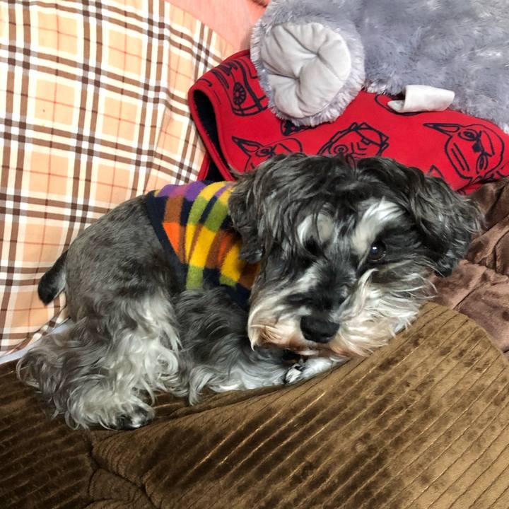 335c41a7 c637 4325 abd8 11671ec75e09 1639920459796