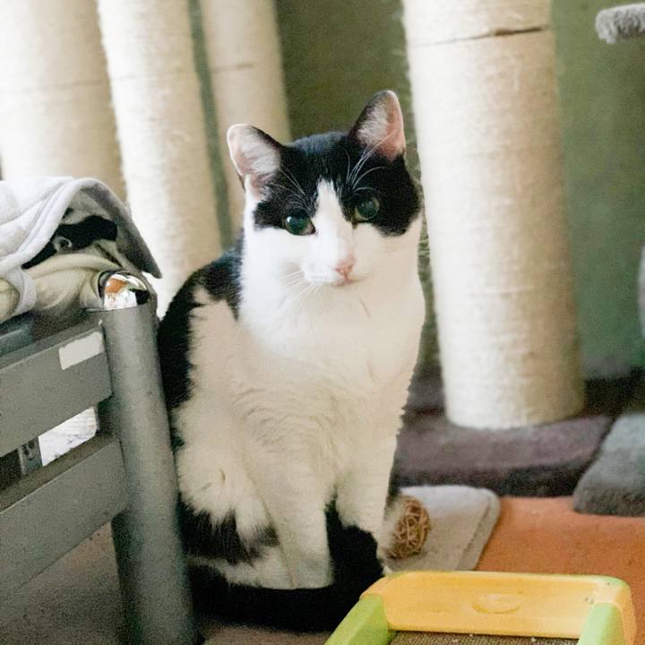 335c545f 961e 4d76 ac75 77738d43c109 1547604044330